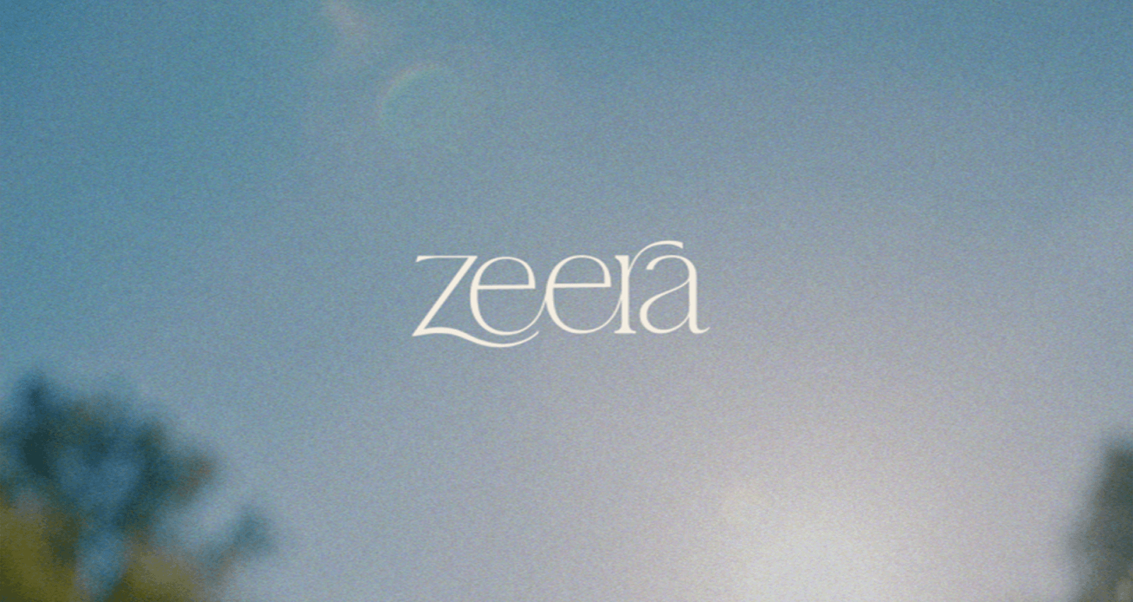 Zeera -- Zeera: Where You Go To Feel -- figure 2